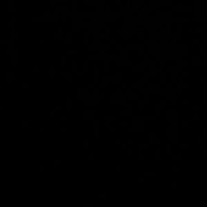 Meet your Posher, Fiana